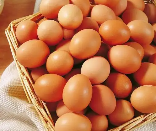 提高鸡多产蛋的方法